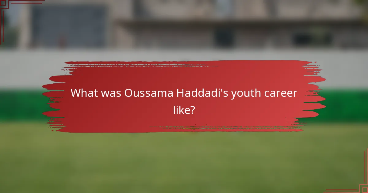 What was Oussama Haddadi's youth career like?